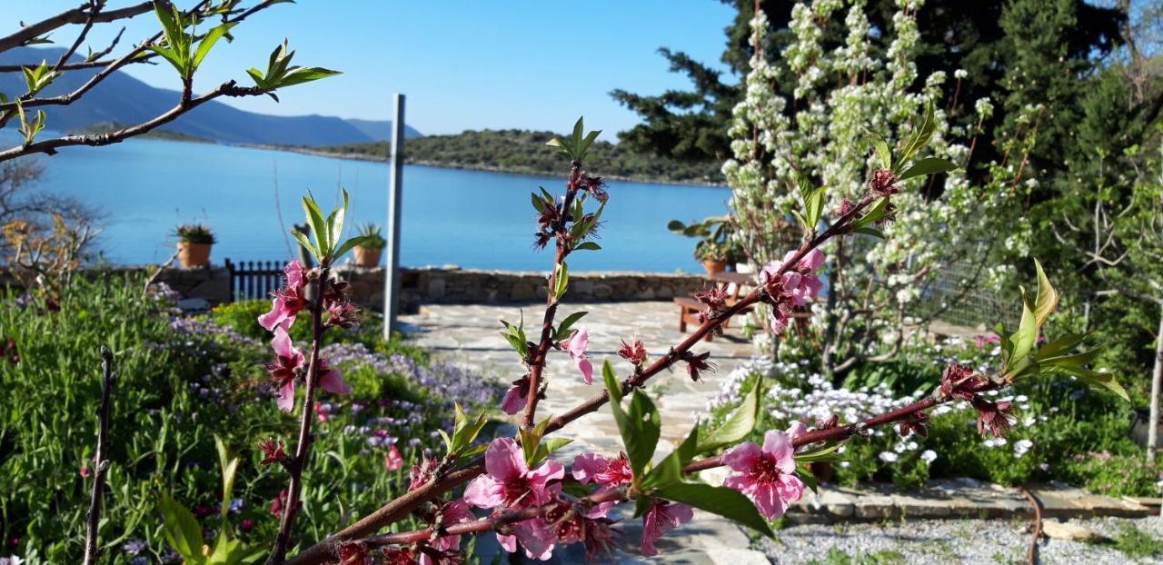 Blueline Apartment Agios Dimitrios (Evia)
