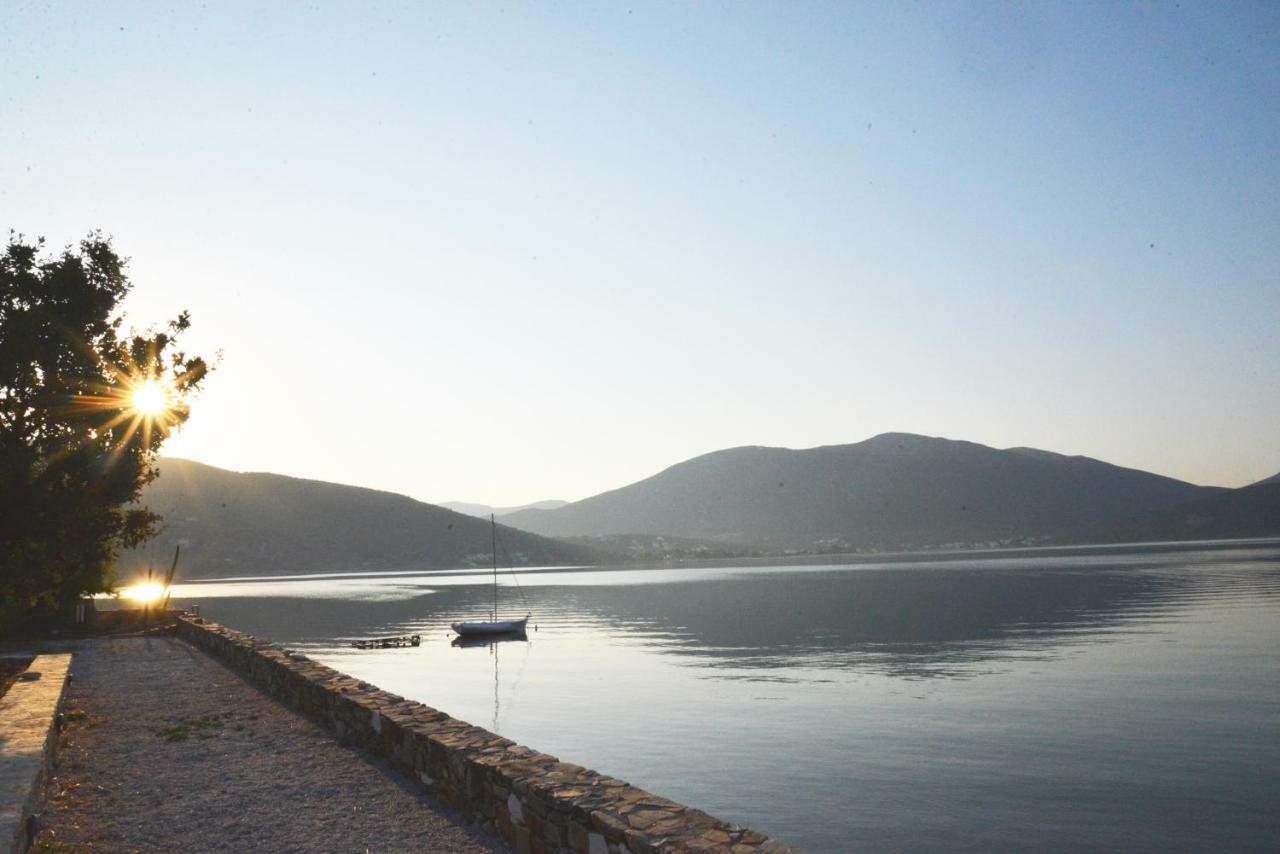 Blueline * Agios Dimitrios (Evia)