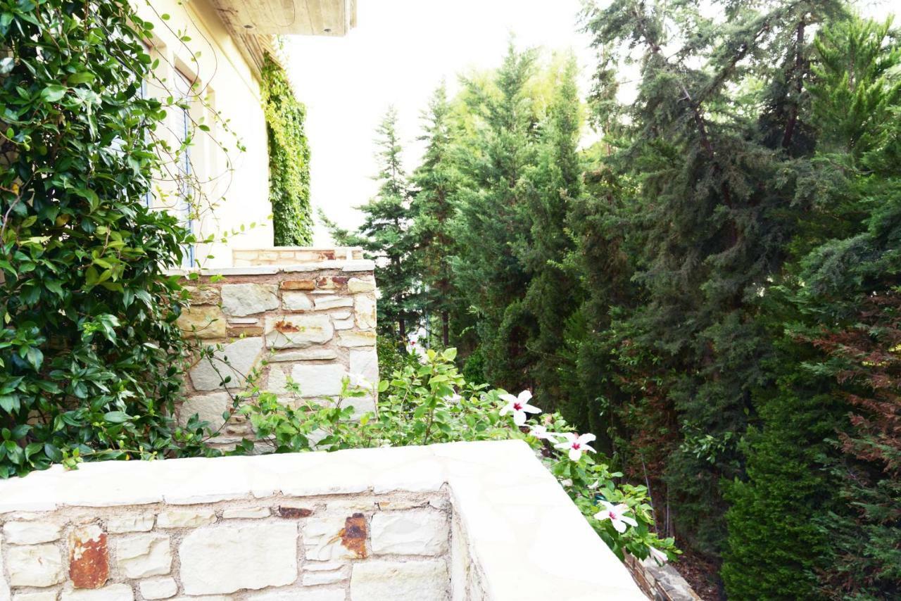Blueline Apartment Agios Dimitrios (Evia)